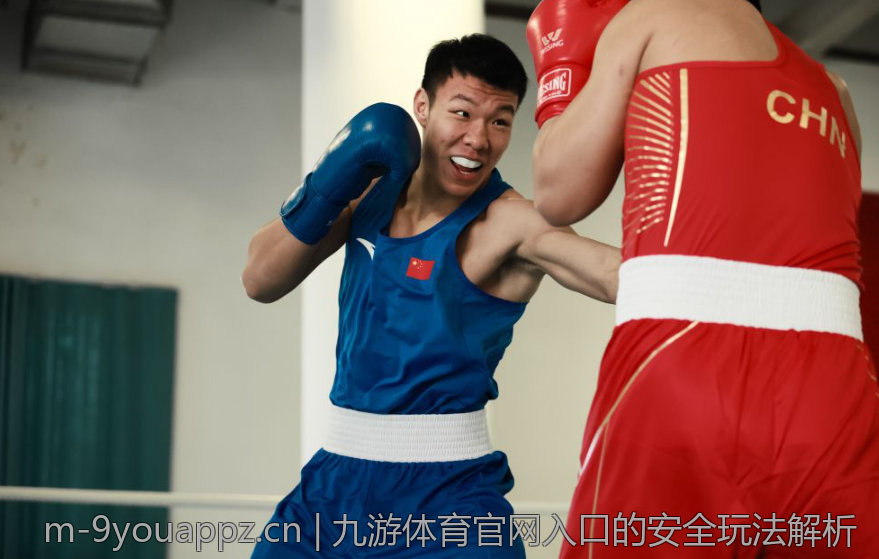 九游体育官网入口的安全玩法解析