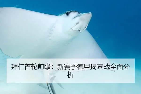 拜仁首轮前瞻：新赛季德甲揭幕战全面分析